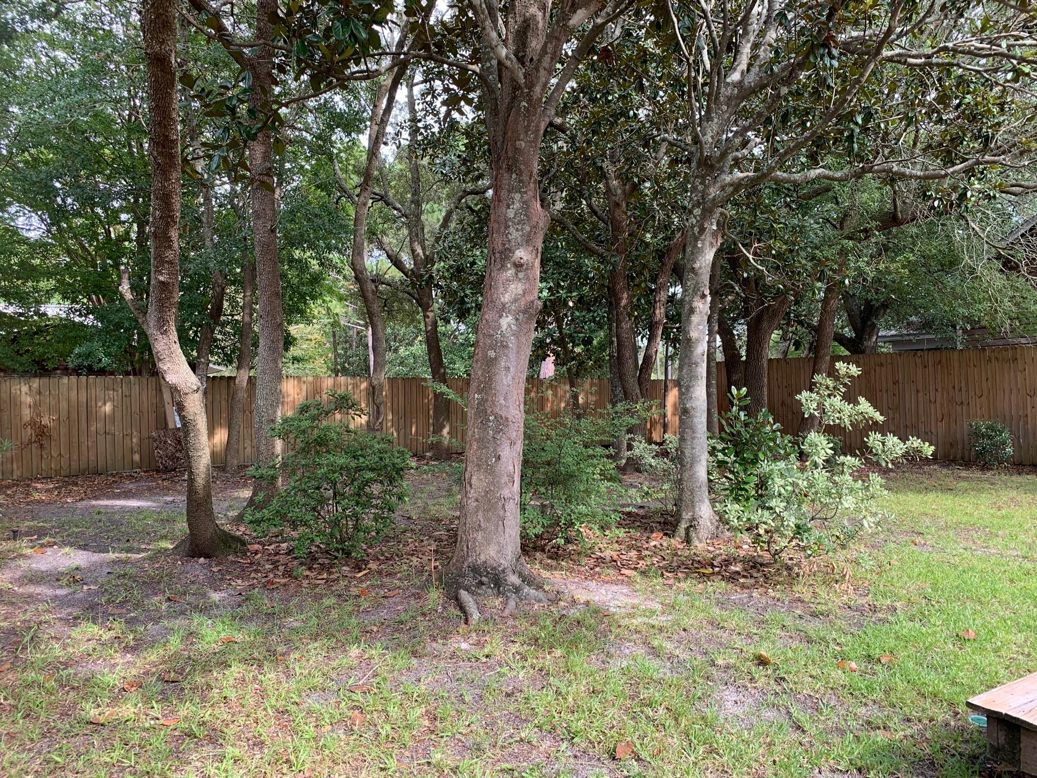 OLDE CAMP WALTON KNOLL - Residential