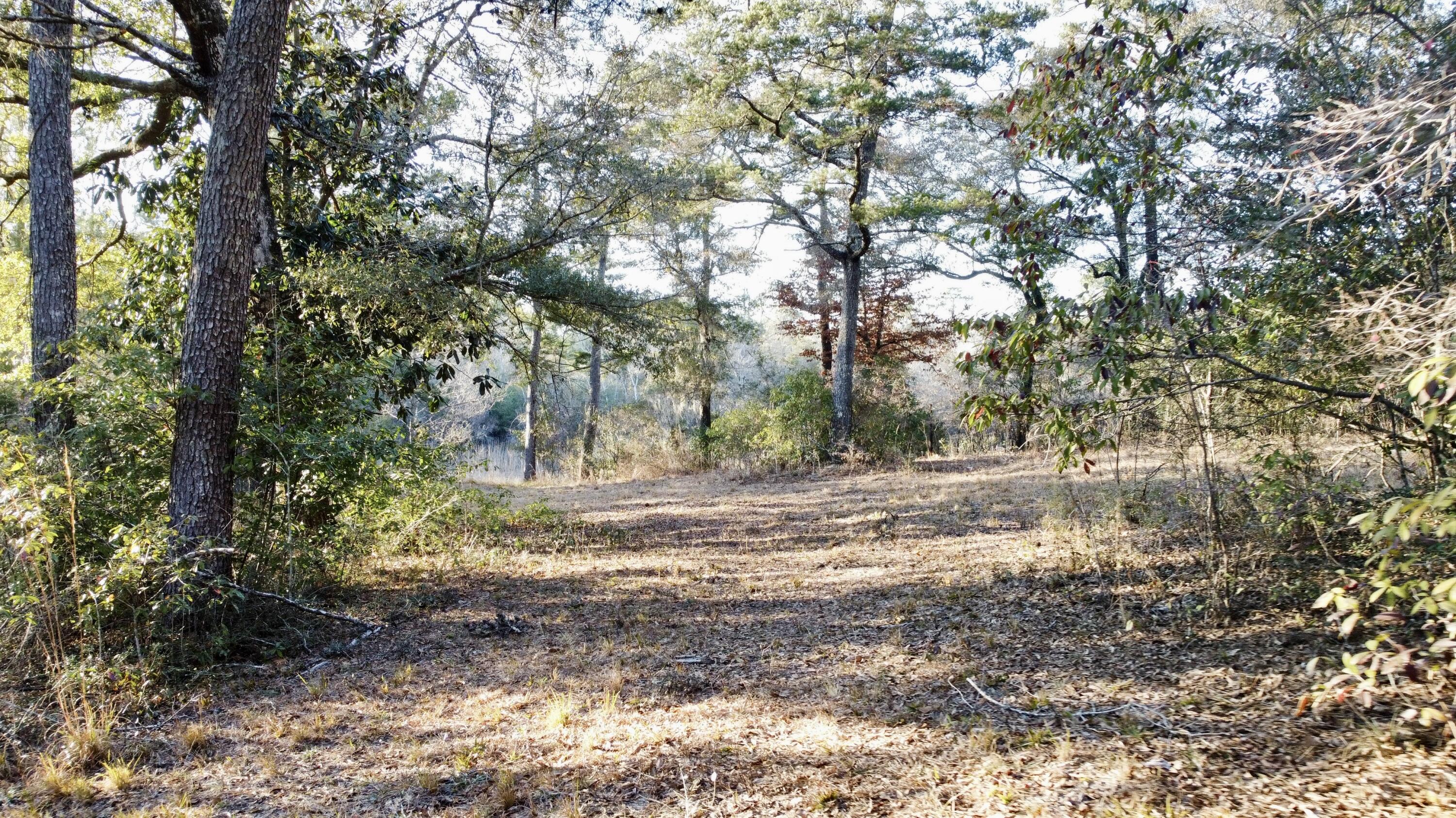 221000.00 - Land