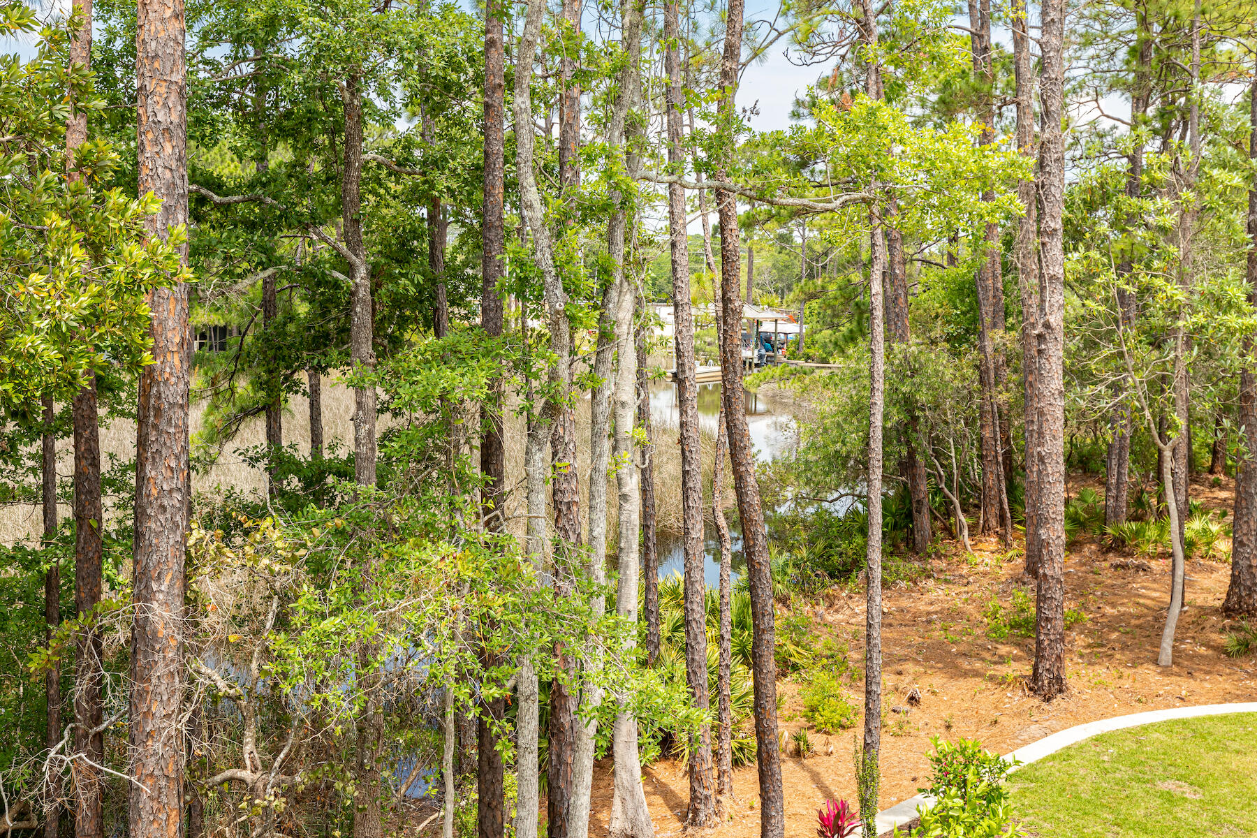 Old Marsh Cove - Residential