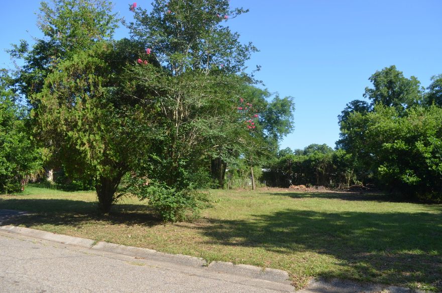 Cleared, level, high and dry! What else could you need in a residential lot? Located very close to shopping and dining. (Aldi, Walmart, Dennys, and more!) .22 acres in a quiet neighborhood in an excellent location.