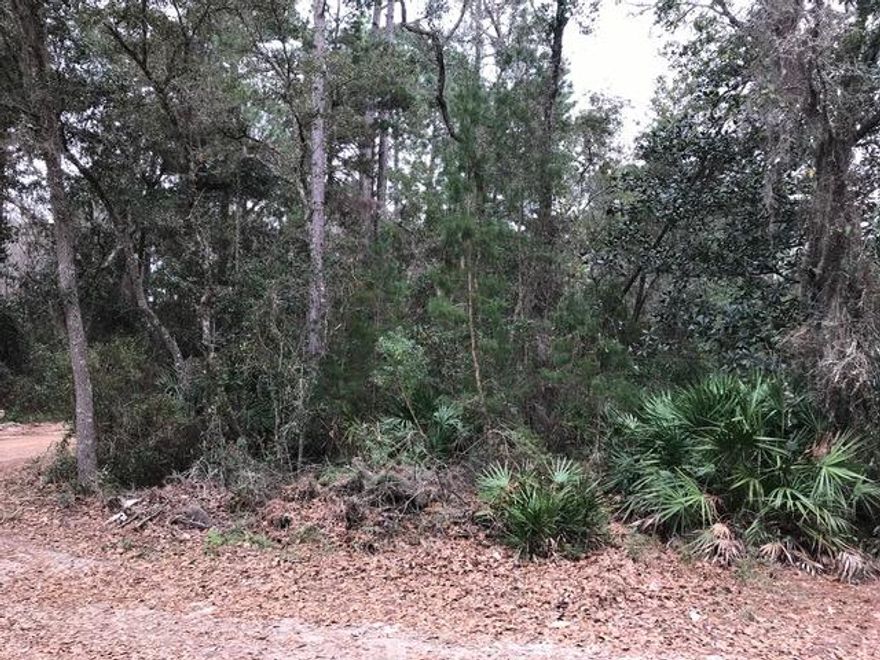 Large lot (.616 ac) one tier back from the Bay. No mandatory homeowner's association. Within 12 minute drive of Hwy 331, restaurants and beach accesses. Sign on lot view anytime.