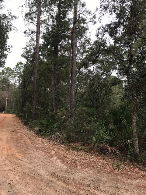 Michener's Addition - Land