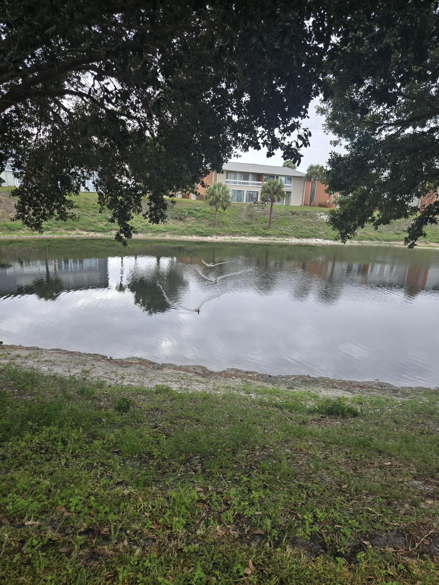 GULF TERRACE CONDO - Residential