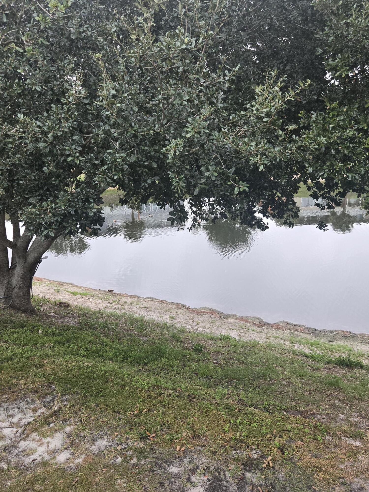 GULF TERRACE CONDO - Residential