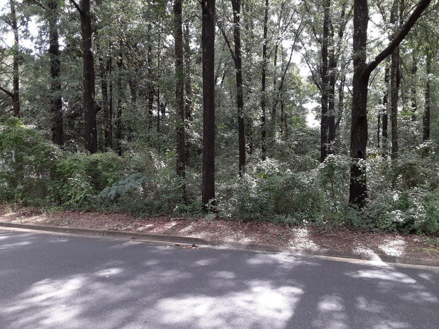 Mobile Homes are okay.   Lot is level and wooded on a paved street.  Utilities are not there but are readily available.