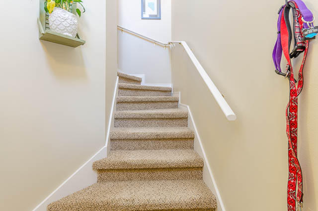 FOREST COVE - Residential