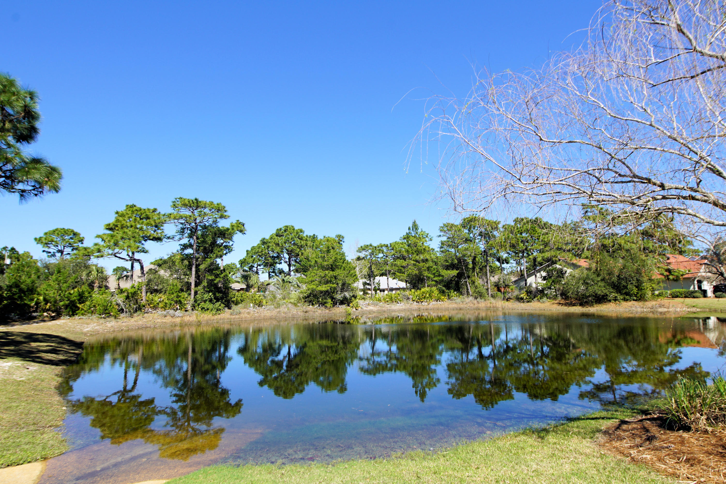 ESCADA - Residential