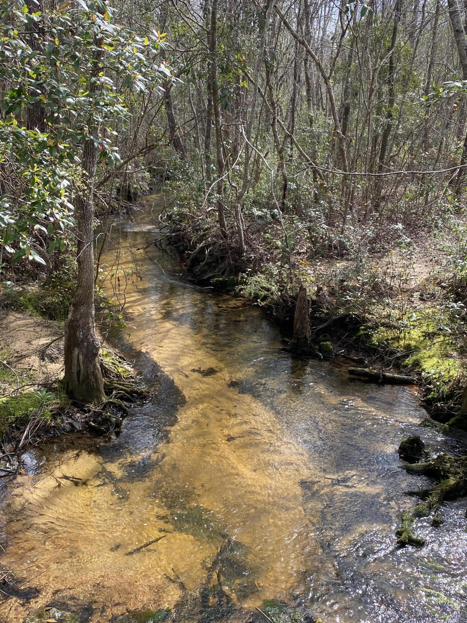 METES & BOUNDS - Farm