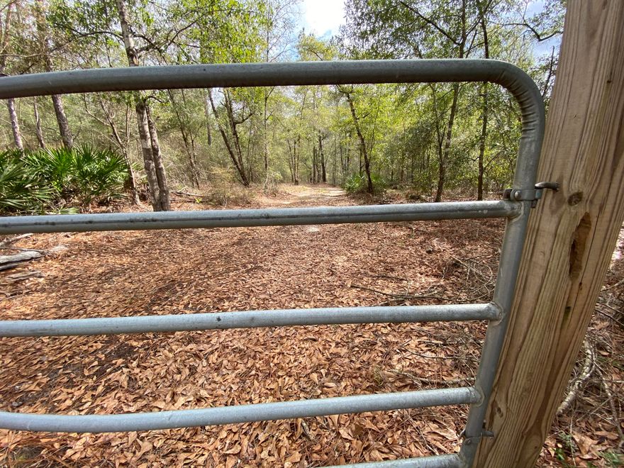 Agricultural timber land with a beautiful clear creek and paved road frontage! Bring your log cabin plans and enjoy the deer and the turkeys! Lots of railroad frontage! Centrally located near Hwy 4, Baker, Crestview and easy access to Holt with I-10 access! Survey available !