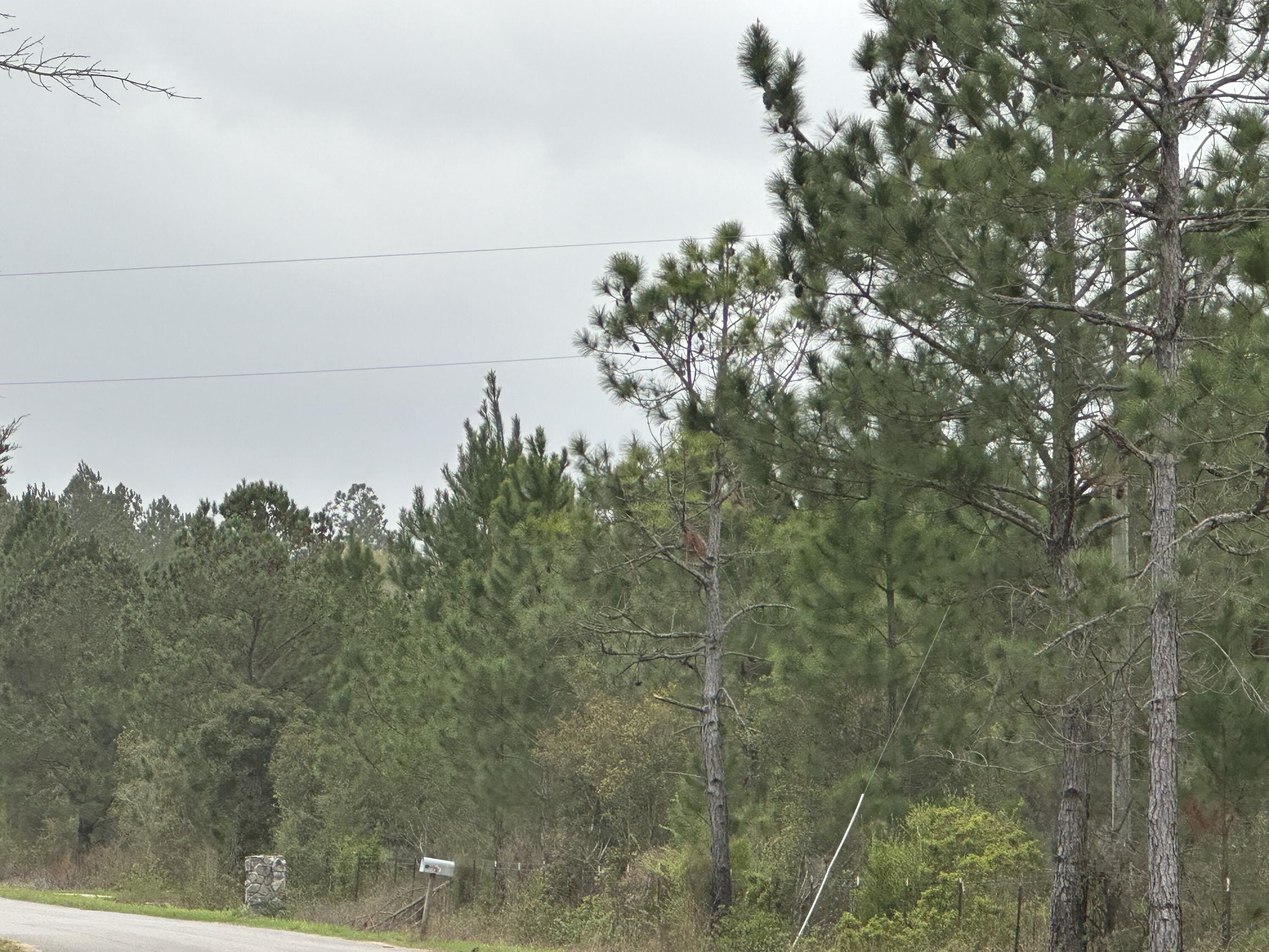 METES & BOUNDS - Land