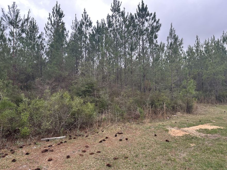 Dream Location for Country Living or Hunters Paradise either way you won't want to miss this opportunity! This Beautiful 16.80 +/- AC Prime mostly level land has so much to offer. power is not on the property but is nearby. Turkey season coming soon! Bring your build plans, hunting gear, Horses, and ATVS LOCATION LOCATION!!!! This Property has Easy Access to Panama City Beaches I-10, Hwy 79, Hwy 81, and Hwy 90.