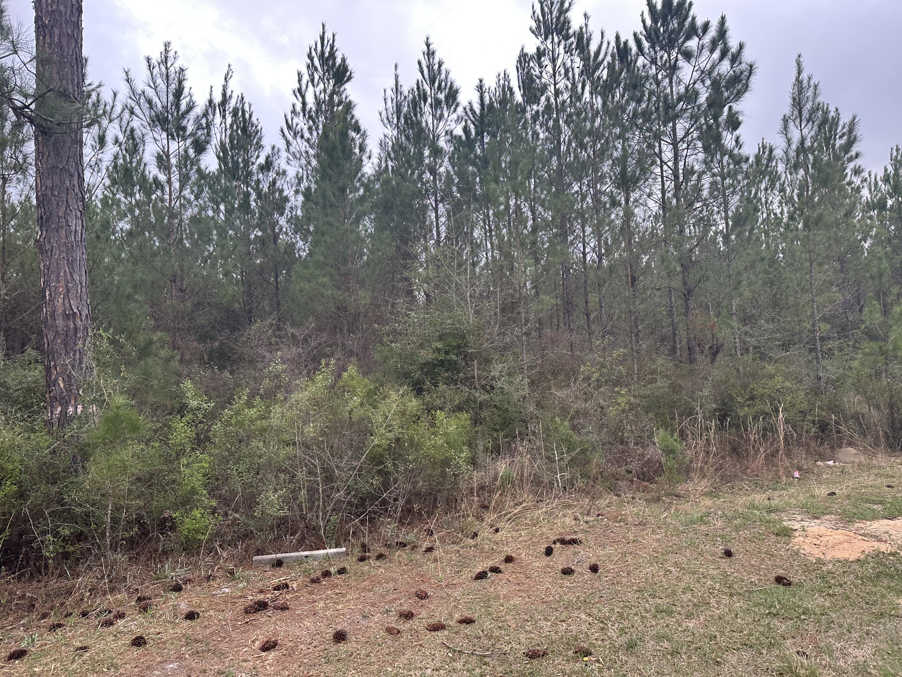 METES & BOUNDS - Land