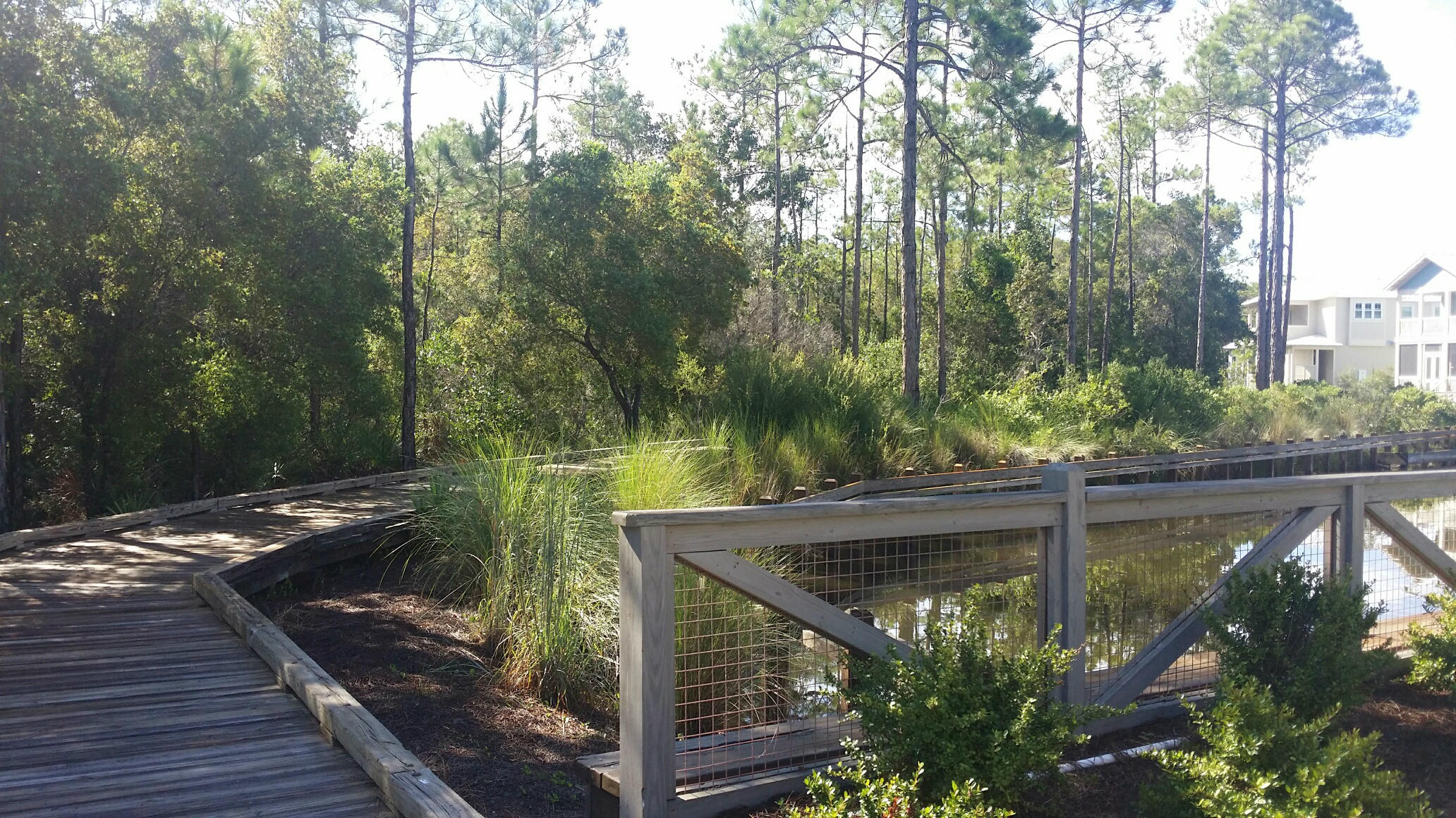 Naturewalk at Seagrove - Residential