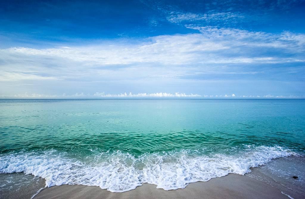 Exclusive spacious lot gulf-side now available in Elysee Court Subdivision, one of the last remaining developments on Scenic Hwy 30A between Alys and Rosemary Beach. A one of a kind opportunity to build your dream home in a sought after location in a private-gated community with low density and convenient location. No build-out requirement. Please read agent to agent remarks on homeowner's association fees, covenants and restrictions. Survey provided in documents.
