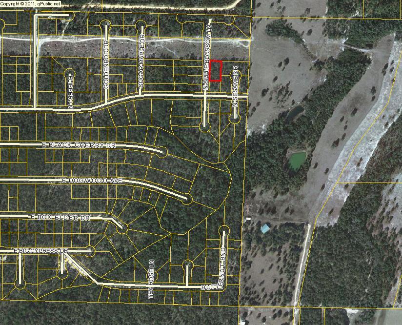 There are 2 lots with this parcel ID and both lots are sold individually for $2500 each. Both lots can be purchase for $5000