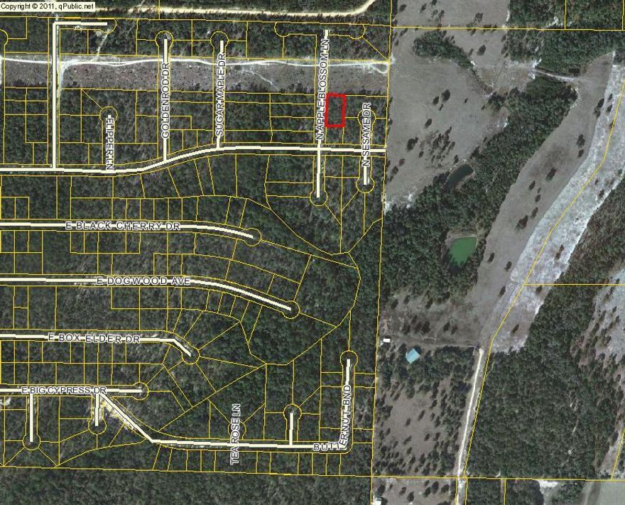 There are 2 lots with this parcel ID and both lots are sold individually for $2500 each. Both lots can be purchase for $5000