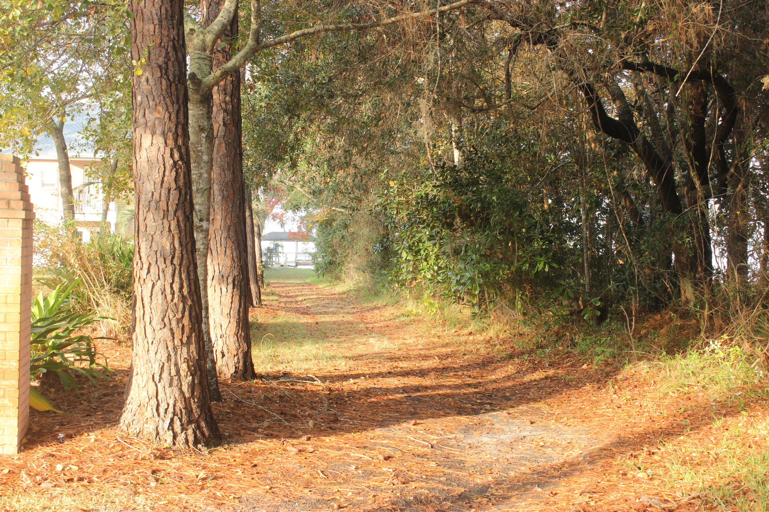 SANTA ROSA BEACH - Residential