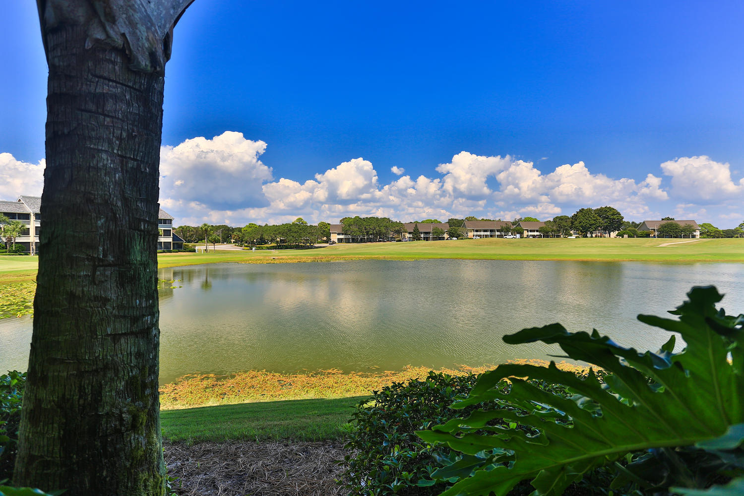 Seascape Condo Phase 6-B PH V - Residential