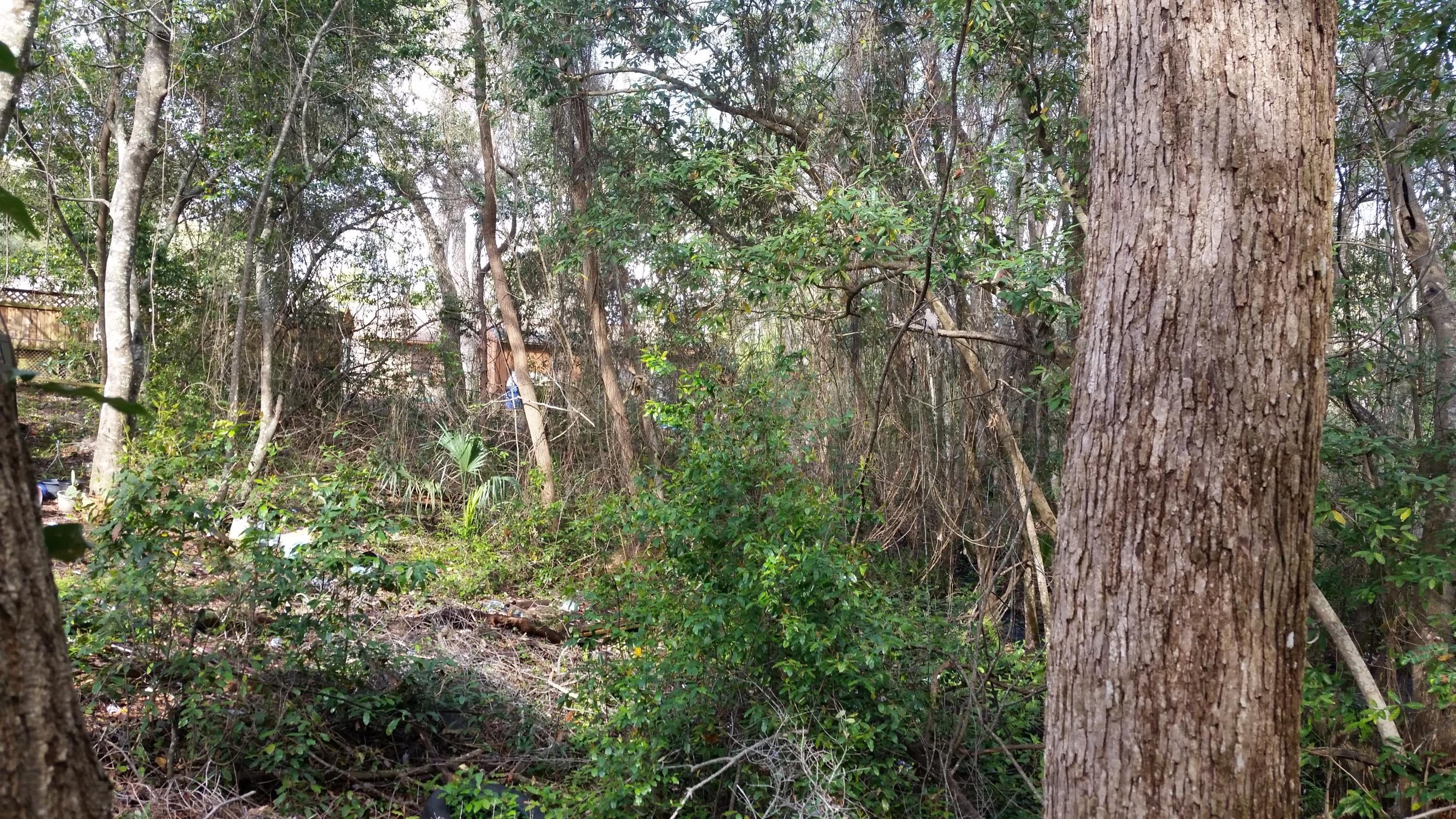 Springhill S/D Lot 20 - Land