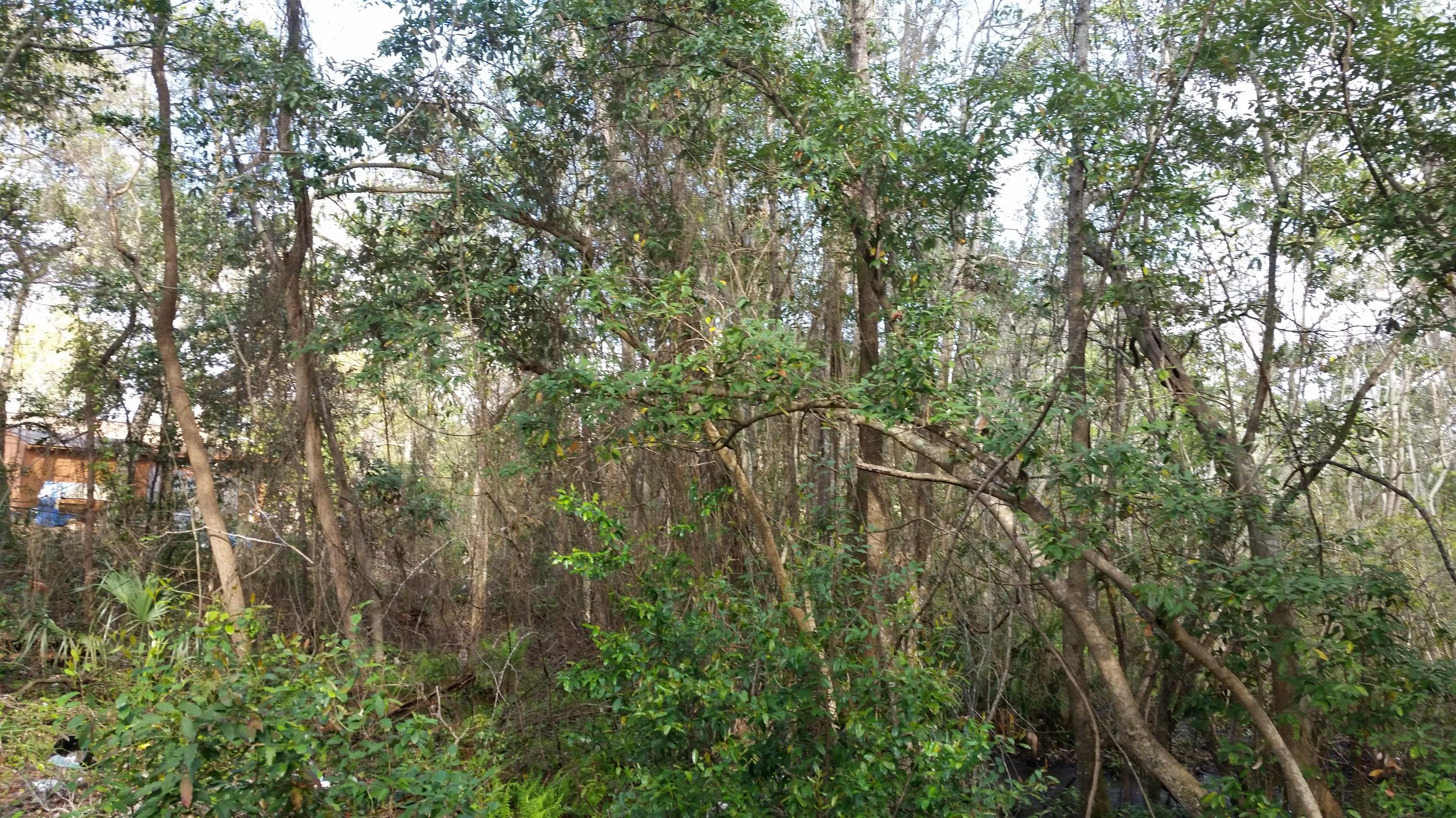 Springhill S/D Lot 20 - Land