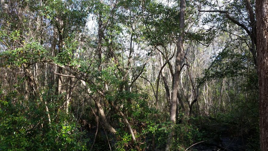 $30,000.00 Price Reduction. What a great opportunity to create your own paradise. This corner lot is tucked away in a very private neighborhood in Port Dixie area. Not wanting the hustle and bustle of main st, this lot on Roundabend is perfect for those who are looking for peaceful and quiet living but centrally located between Eglin Air Force Base and Hurlburt Airfield. Only minutes to the Destin Ft. Walton Beach Airport and 10 minutes to the sugar white beach of the Gulf of Mexico. Ft. Walton Beach medical center is also within a 10 minute drive.