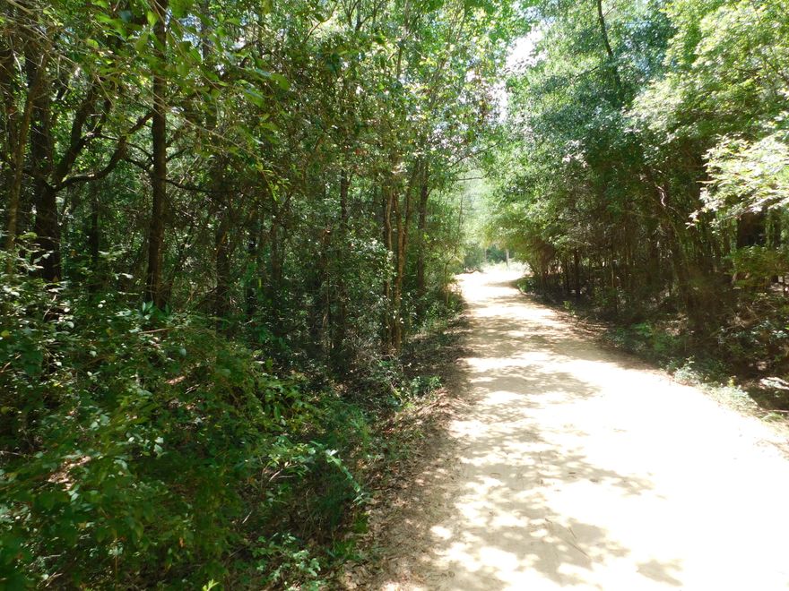 Vacant Land that is a wooded lot ready to be cut into the desired style of the new Owner(s).  This lot is draped with Pines, Oaks and even Magnolia trees. Come take a look today and bring your floorplans as well.