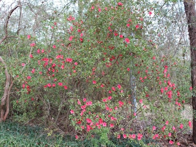 LAKE HOLLEY ESTATES - Residential