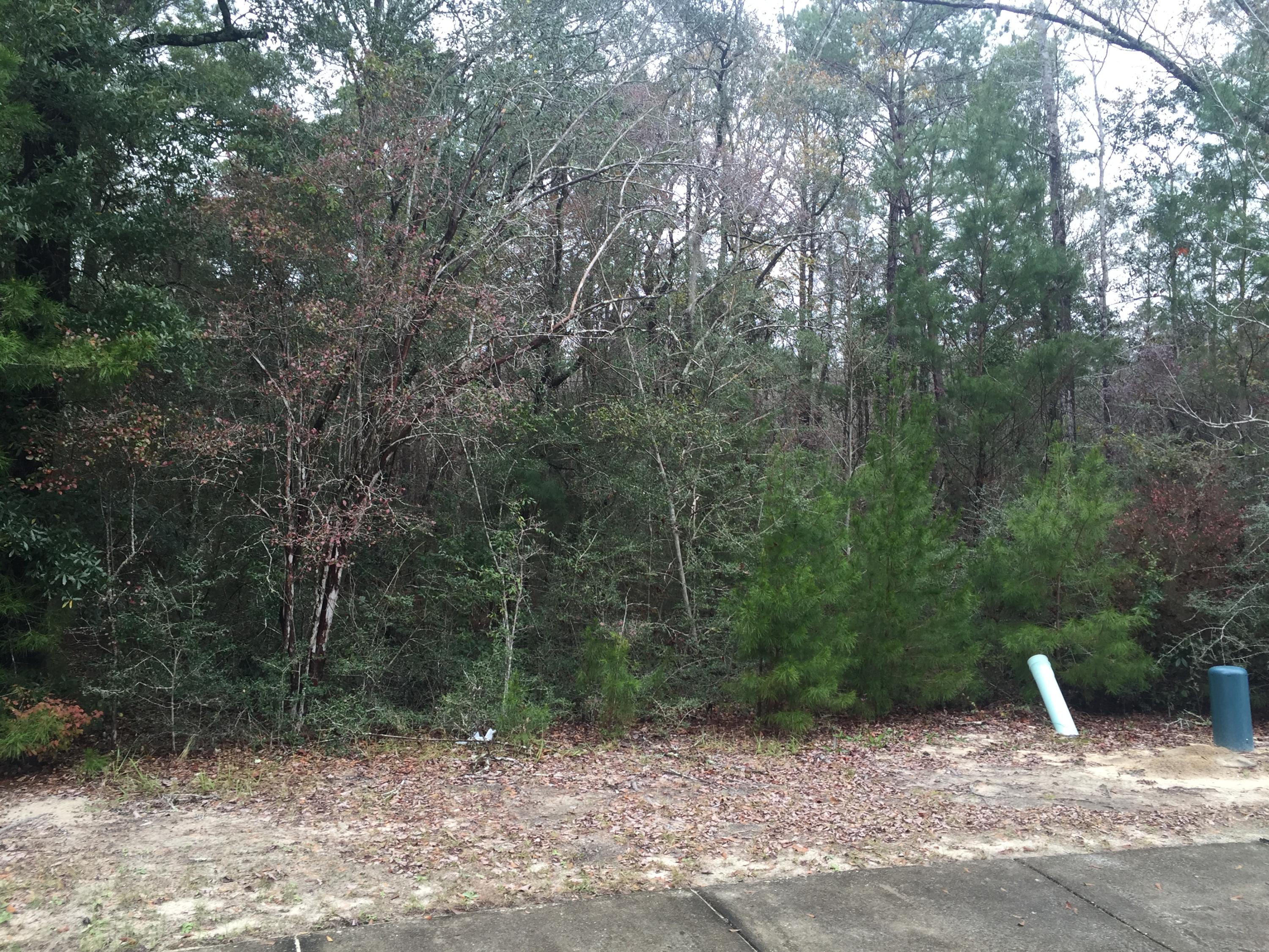 LAGRANGE LANDING - Land