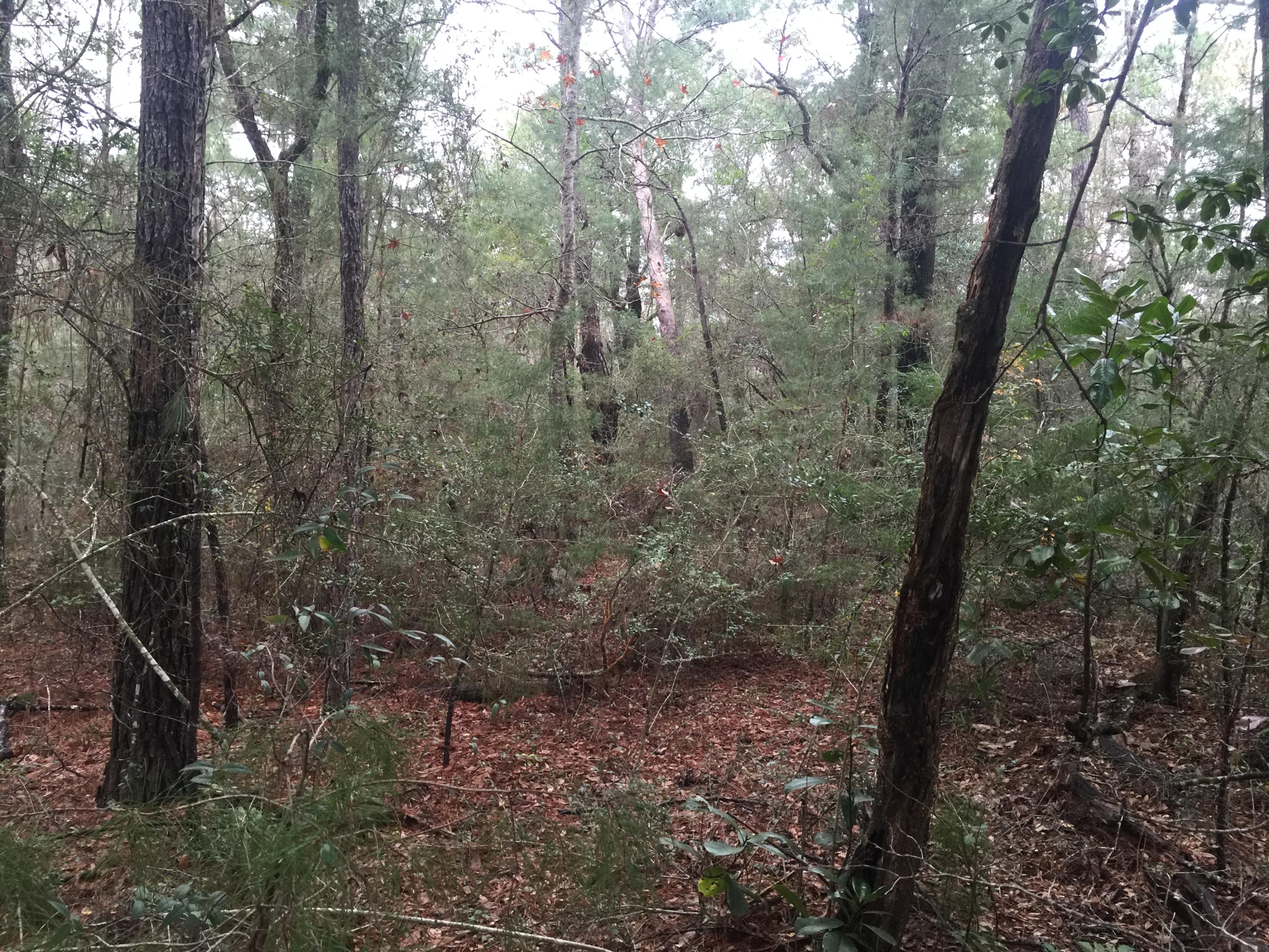 LAGRANGE LANDING - Land