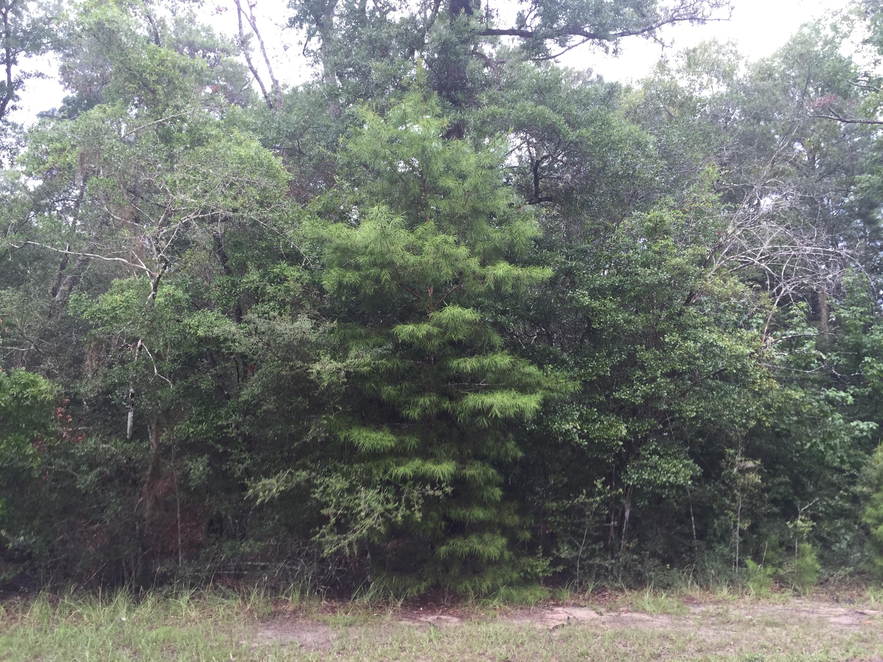 LAGRANGE LANDING - Land