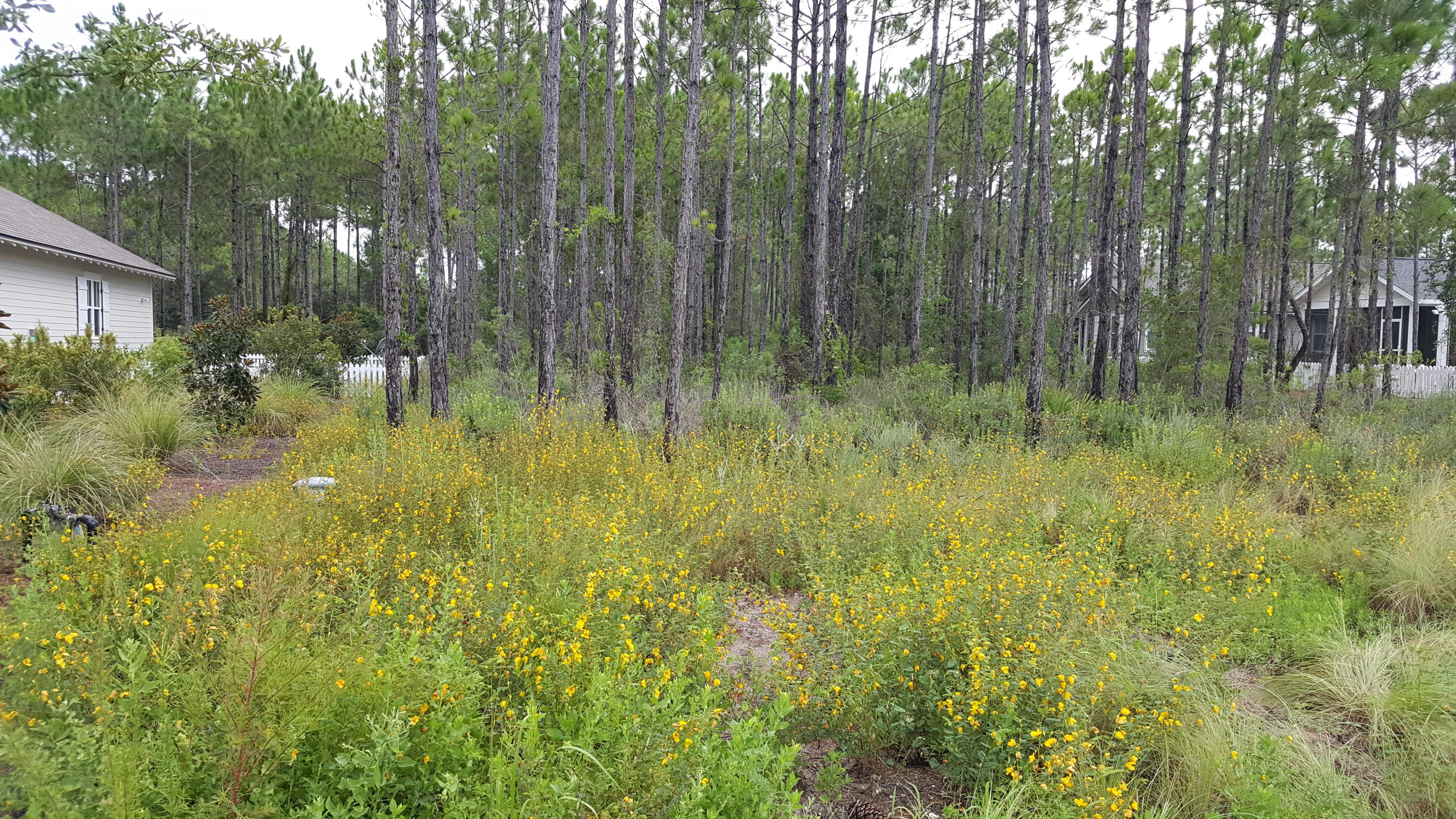 WATERSOUND ORIGINS - Land