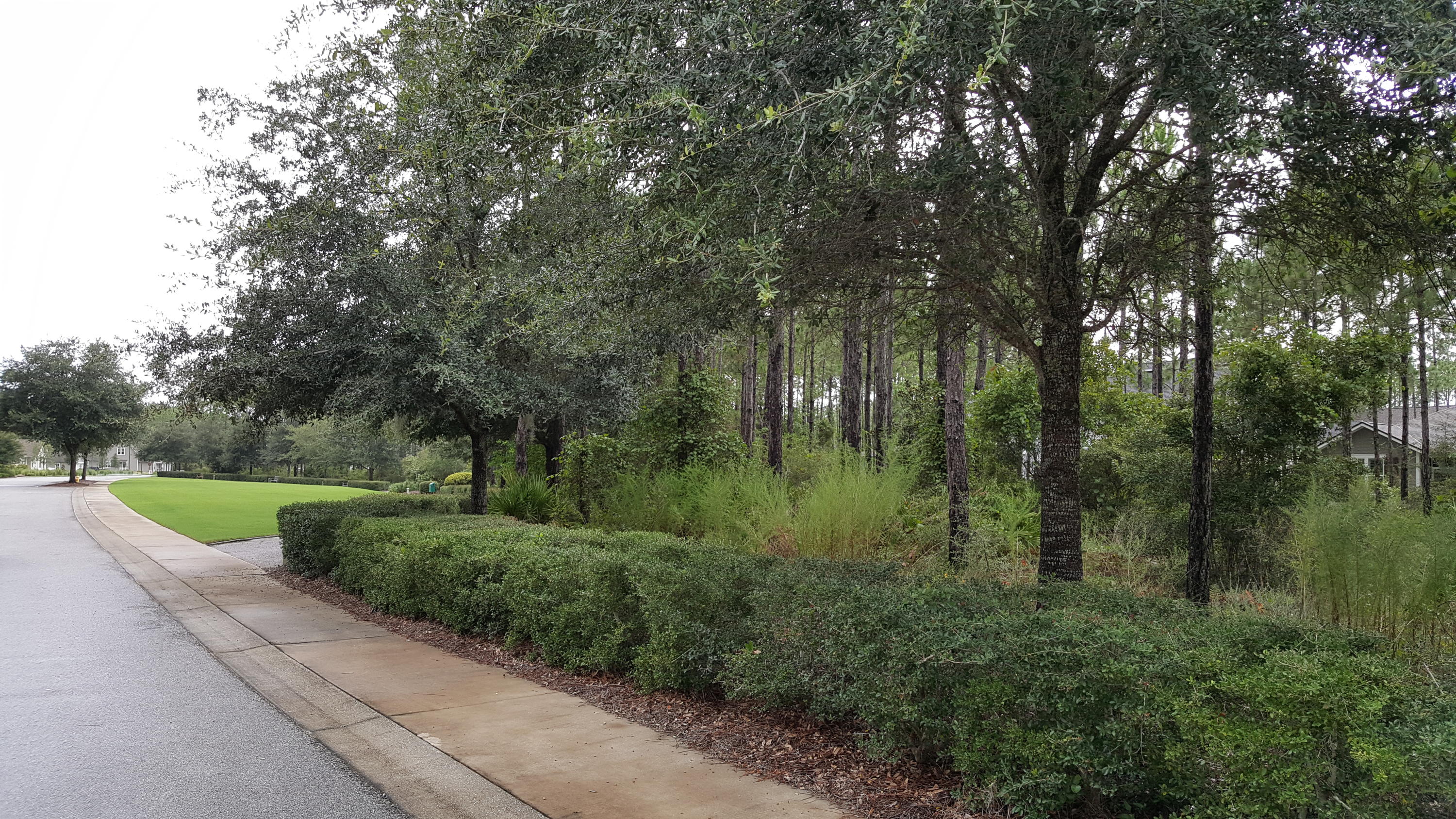 WATERSOUND ORIGINS - Land