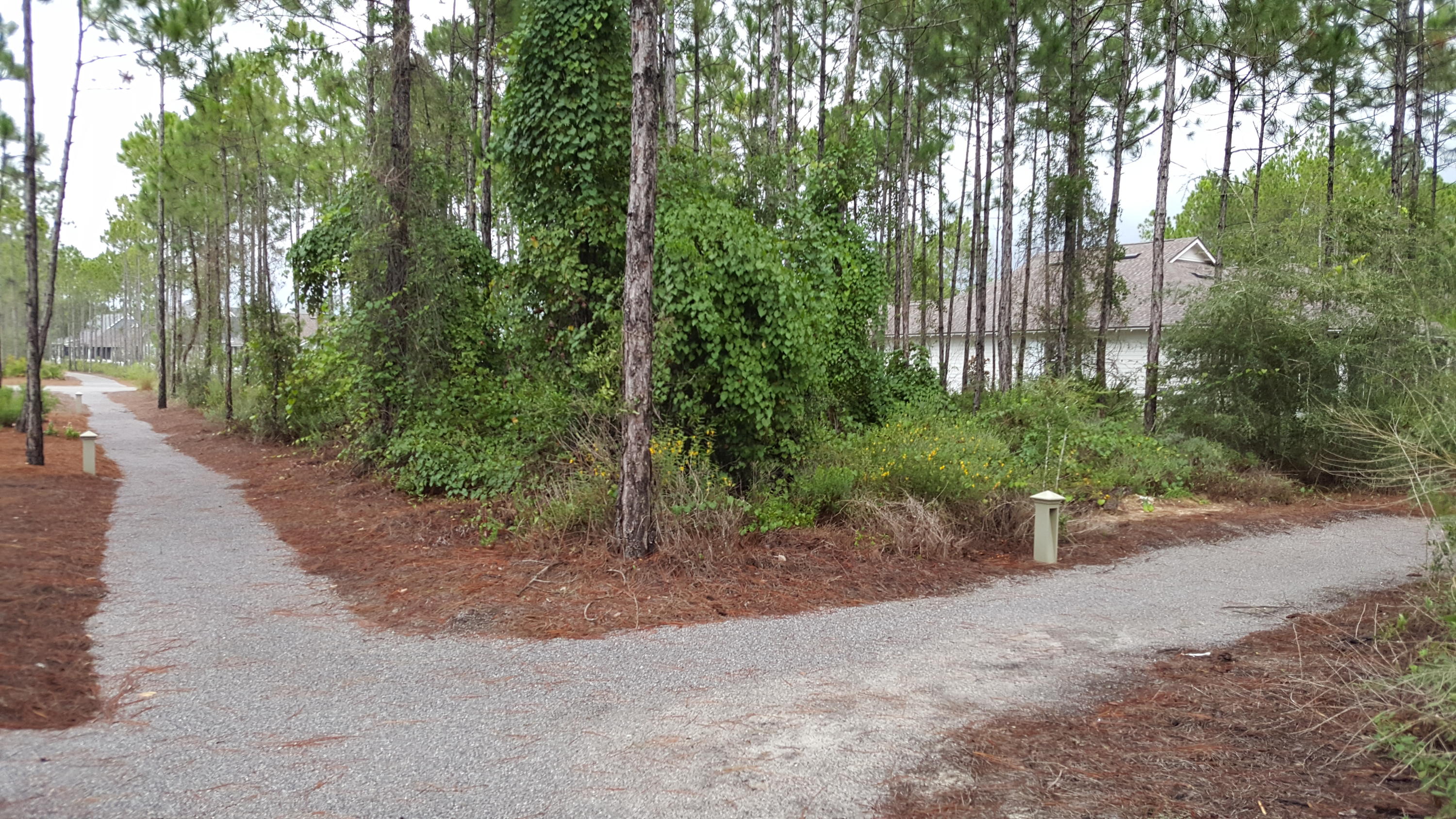 WATERSOUND ORIGINS - Land