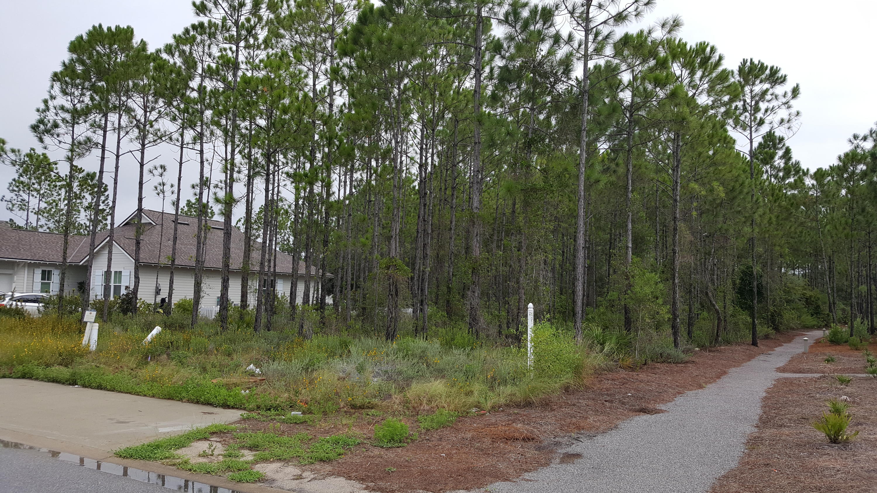 WATERSOUND ORIGINS - Land