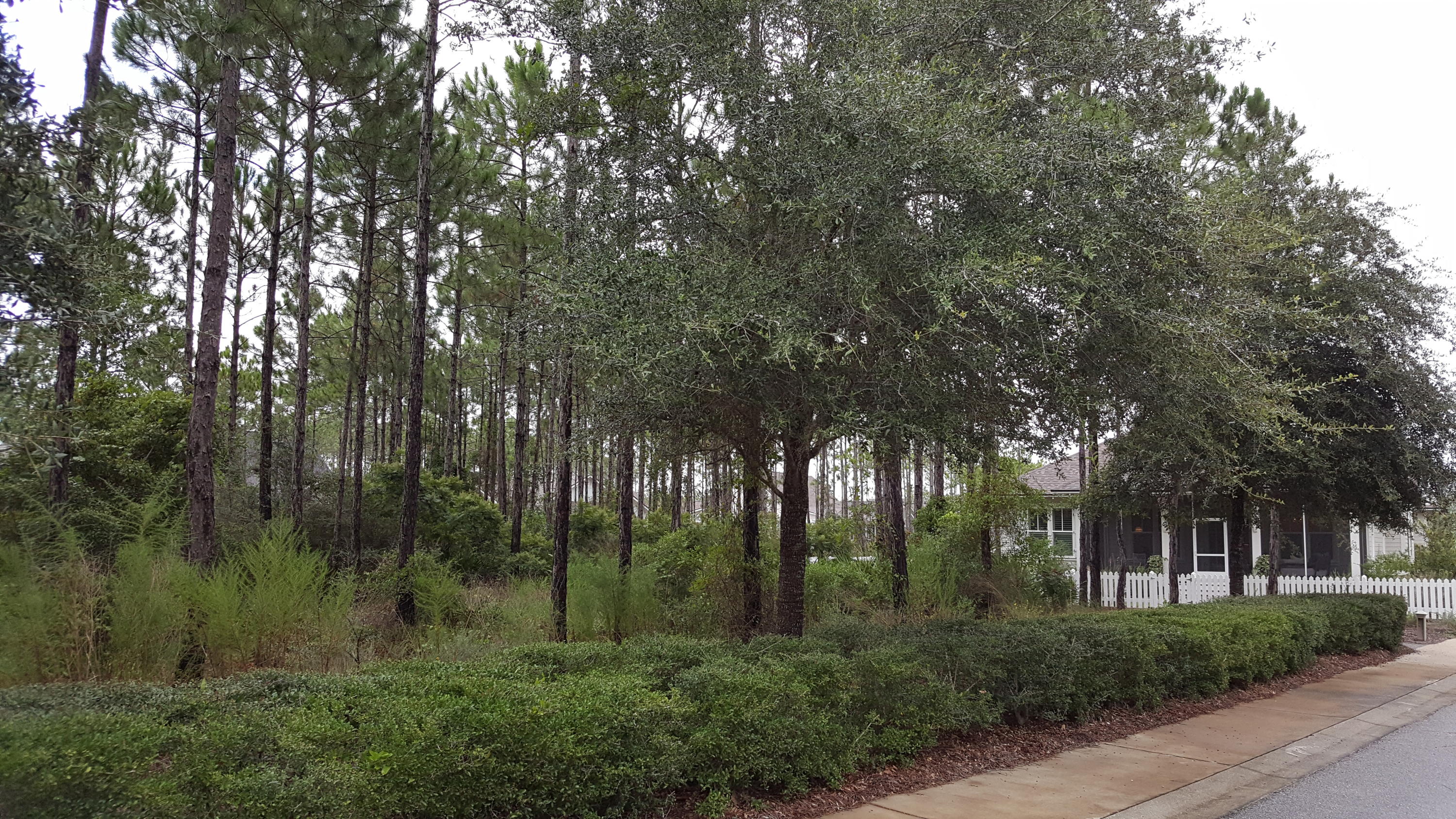 WATERSOUND ORIGINS - Land