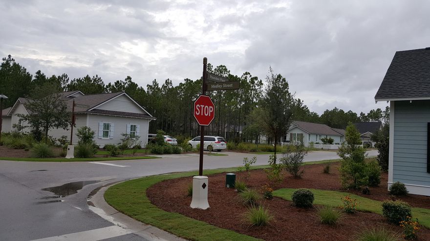 Amazing oppotunity to plan and build-to- suit your future home in the growing WaterSound Origins Community!