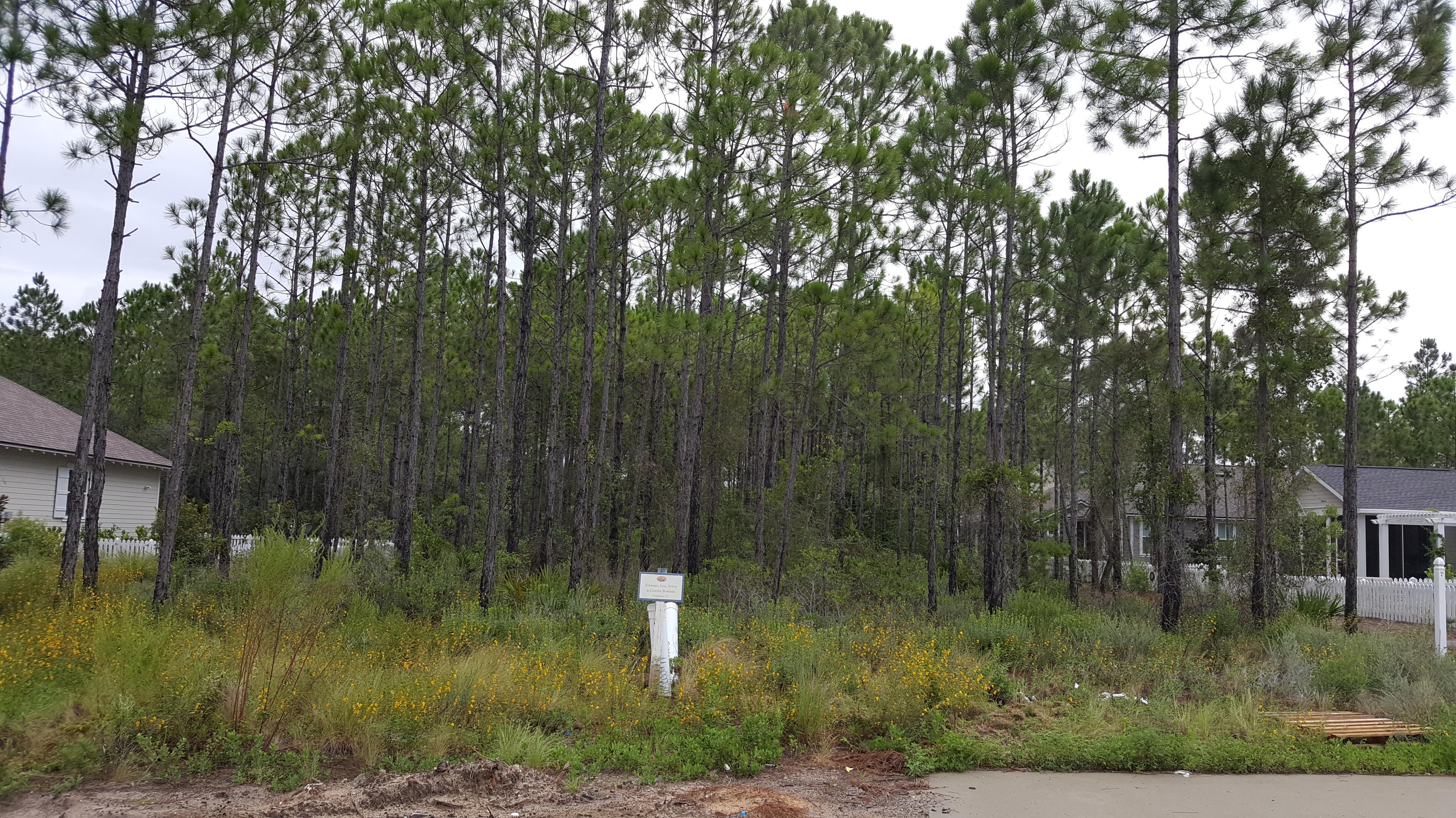 WATERSOUND ORIGINS - Land