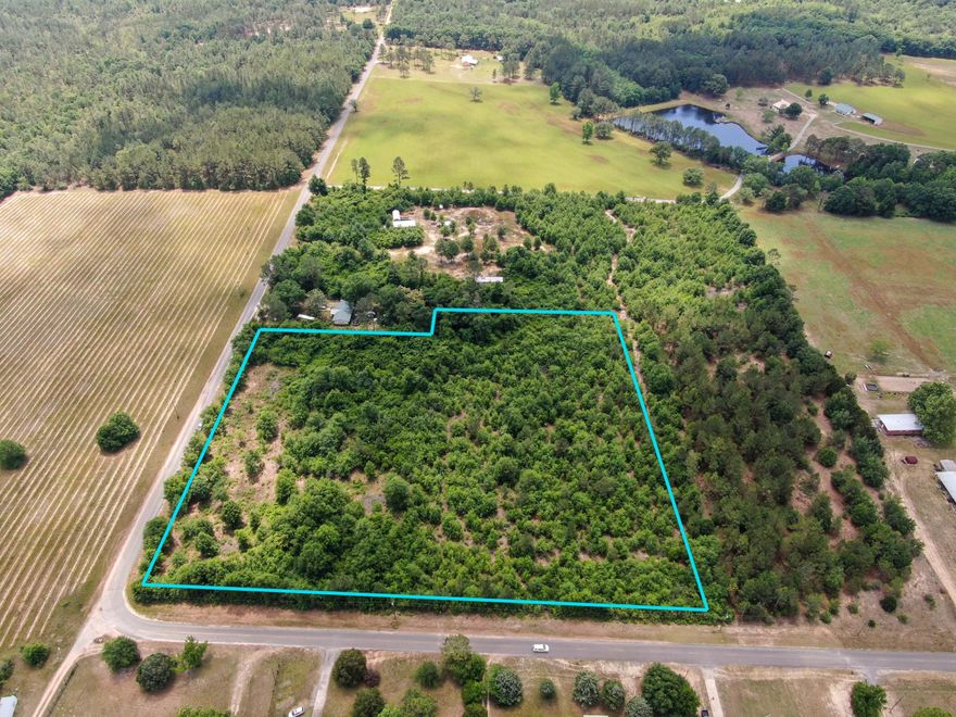 Exceptional opportunity awaits with this offering to purchase 9 acres in North Walton County. The land is beautiful, wooded, and level. An easy commute to Destin, Crestview, Defuniak Springs, Santa Rosa Beach and about 50 minutes to the beautiful white sand beaches of the Emerald Coast. Bring your toys, plant you a garden, and build your dream home to create your own private oasis. Call today before it is gone.