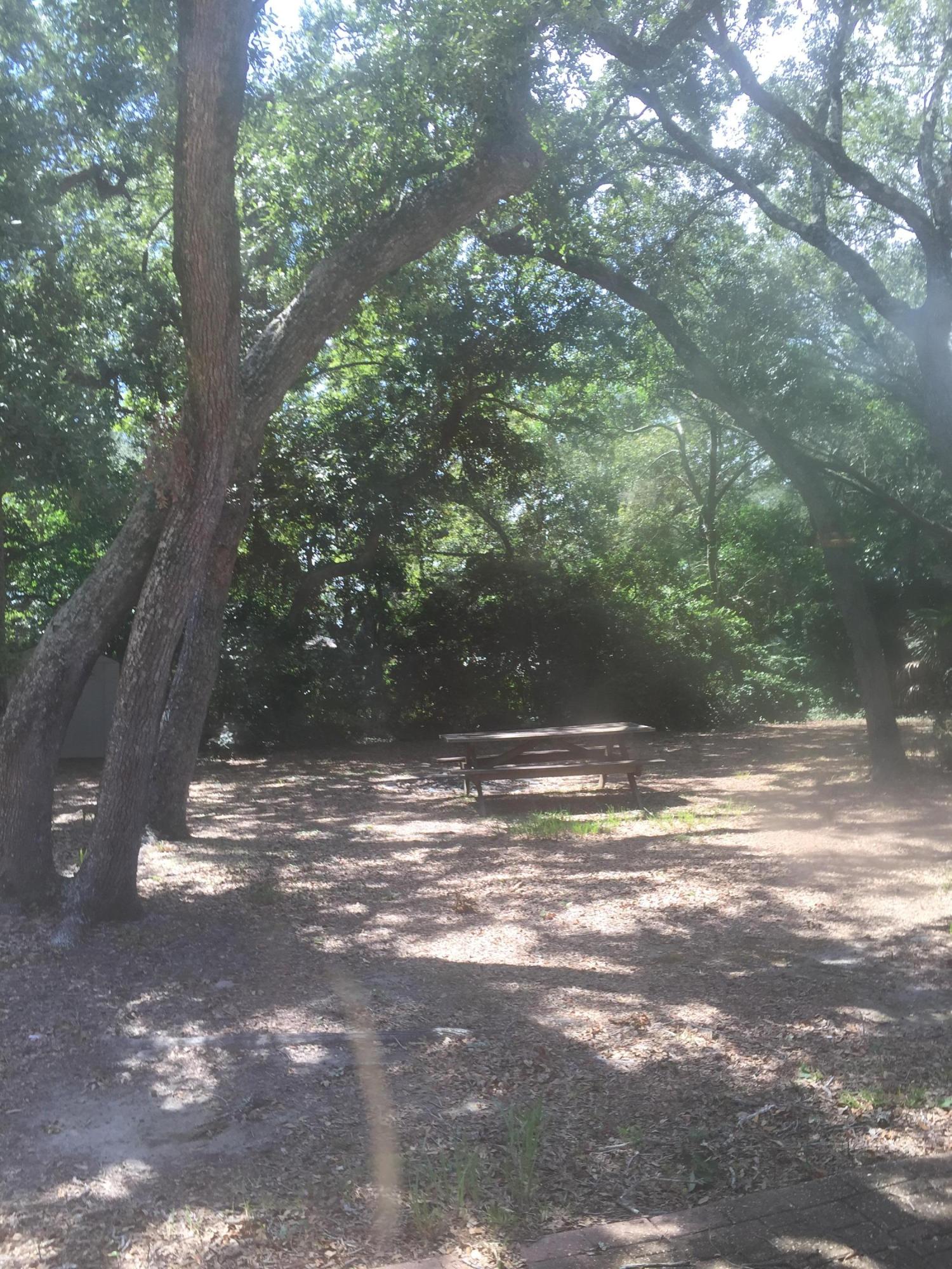 ELLIOTTS POINT - Residential