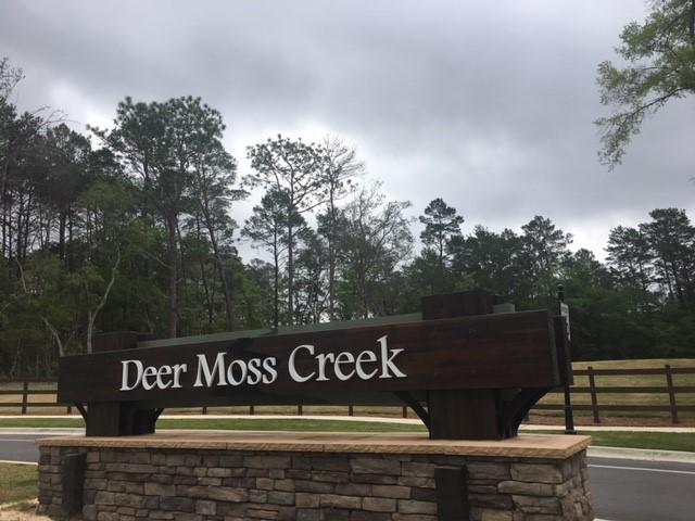 Deer Moss Creek - Land