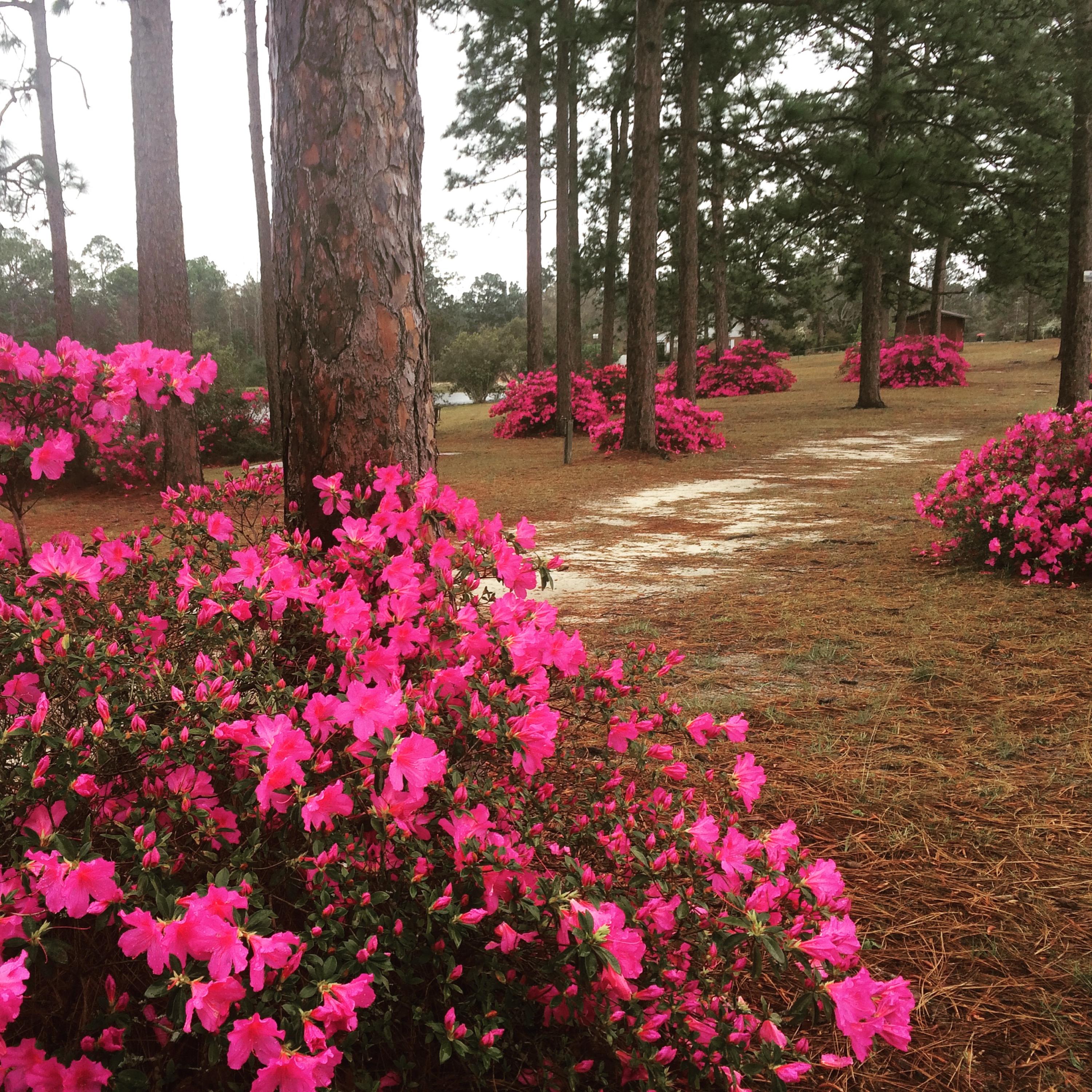 GRANDVIEW HEIGHTS - Residential