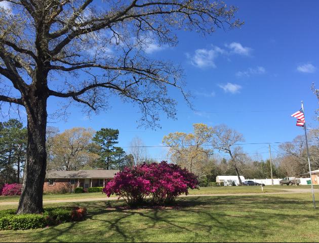 GRANDVIEW HEIGHTS - Residential