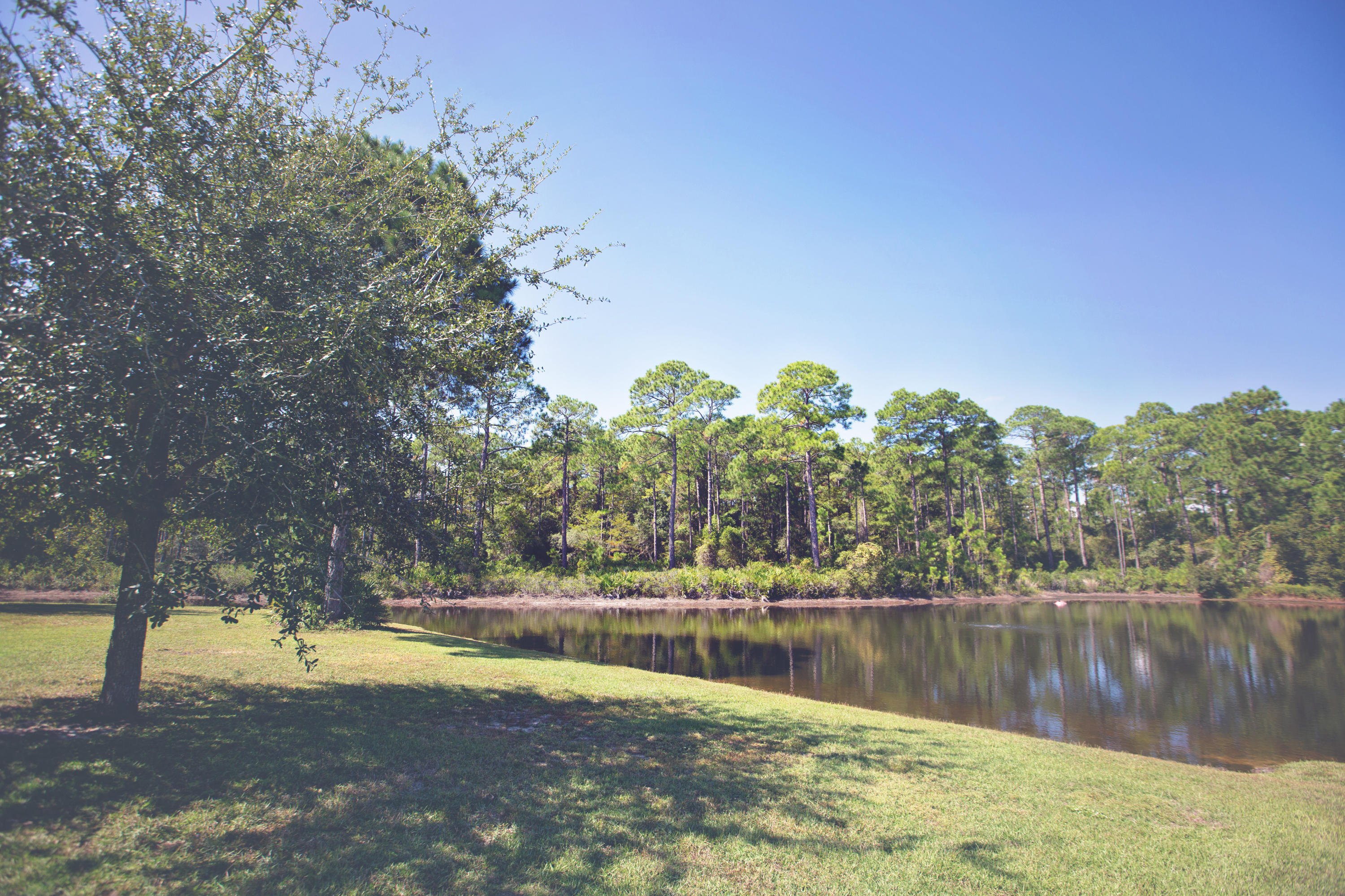 DRIFTWOOD ESTATES - Residential