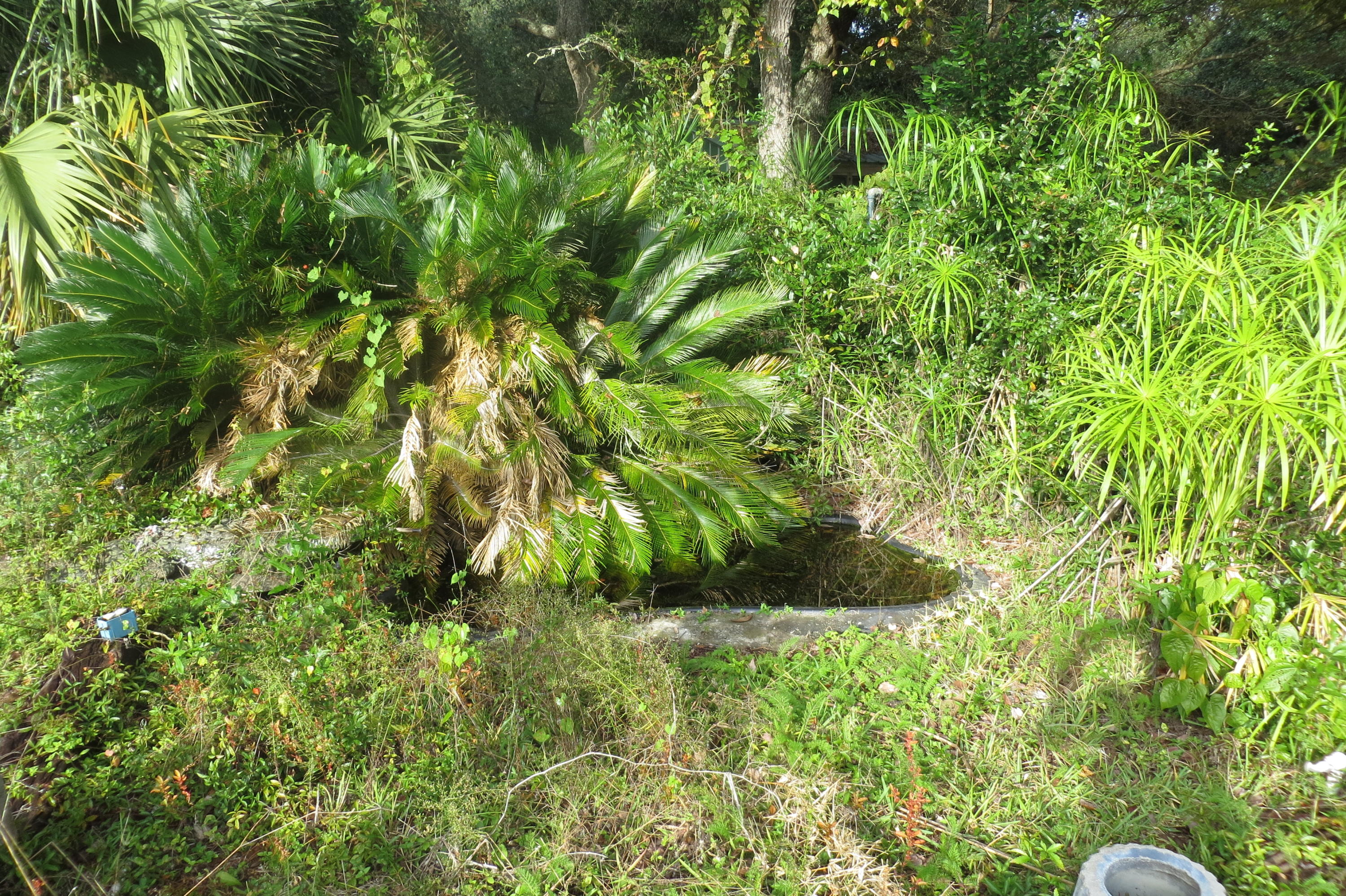 SEMINOLE 1ST ADDN - Residential