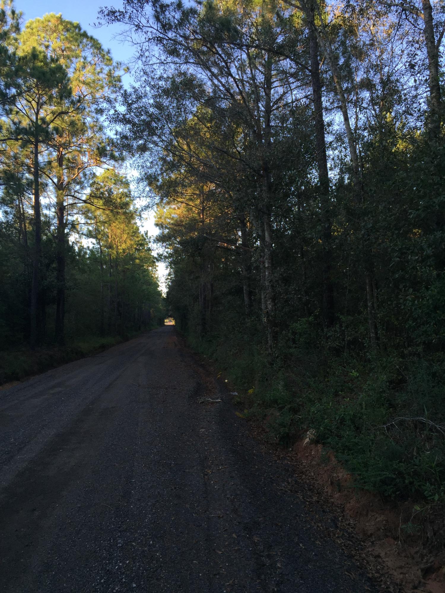 METES & BOUNDS - Farm