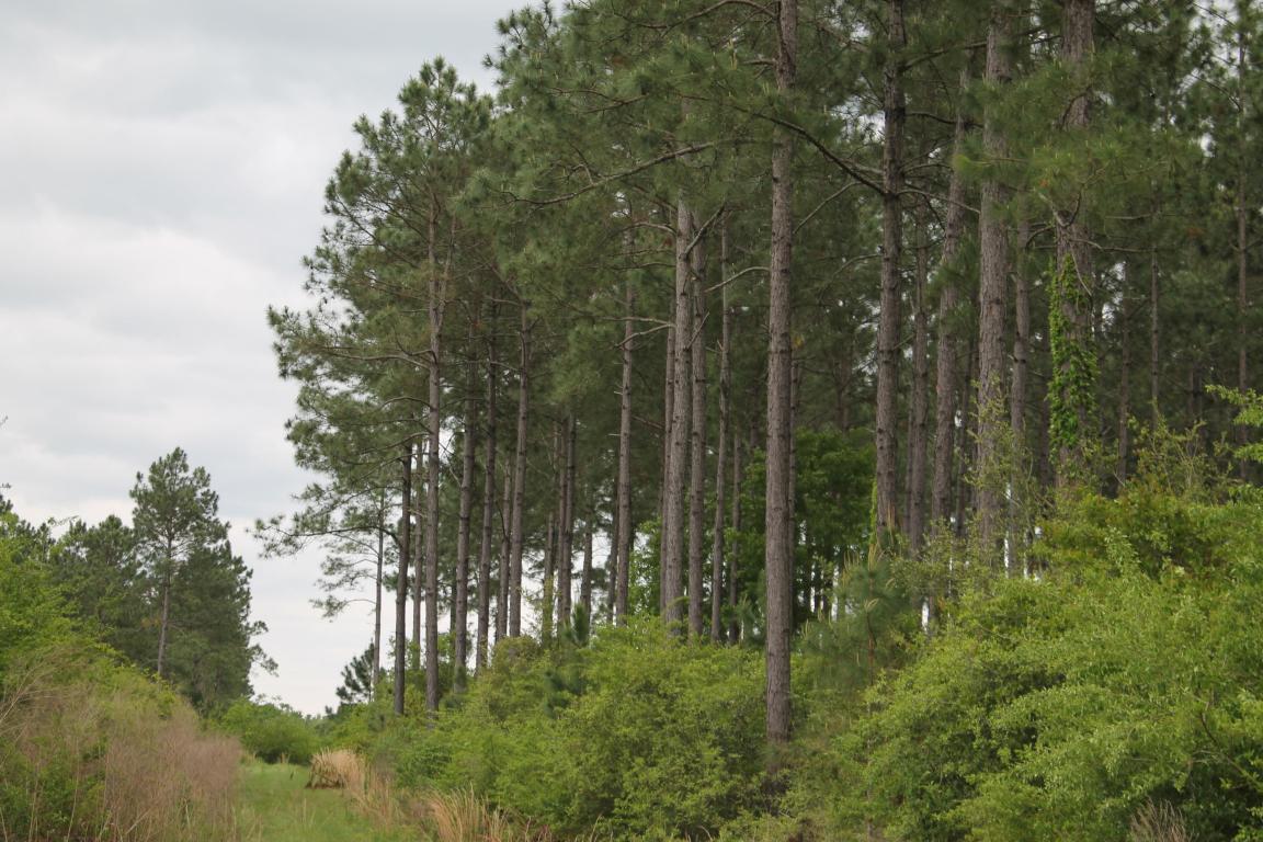 METES & BOUNDS - Farm