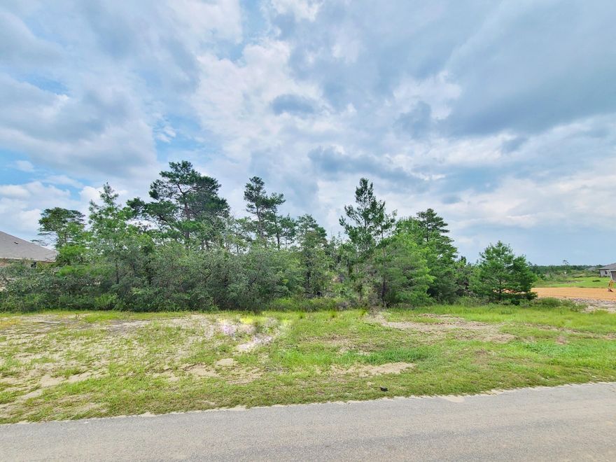 More than a half acre lot in Windswept Estates, Freeport's Golf Course community, which totals 750 acres.  The lot is 130ft x 200ft. The neighborhood amenities include swimming pool with restrooms, tennis courts, basketball court, playground, and lakes for fishing. Windswept Dunes, a demanding 18-hole 7752 yards golf course, is nestled within the community. Located five miles east of Freeport town center and only 30 minutes to the world's most beautiful beaches of South Walton and twenty minutes to Panama City Beach Airport (ECP).  Build your home on this homesite today!