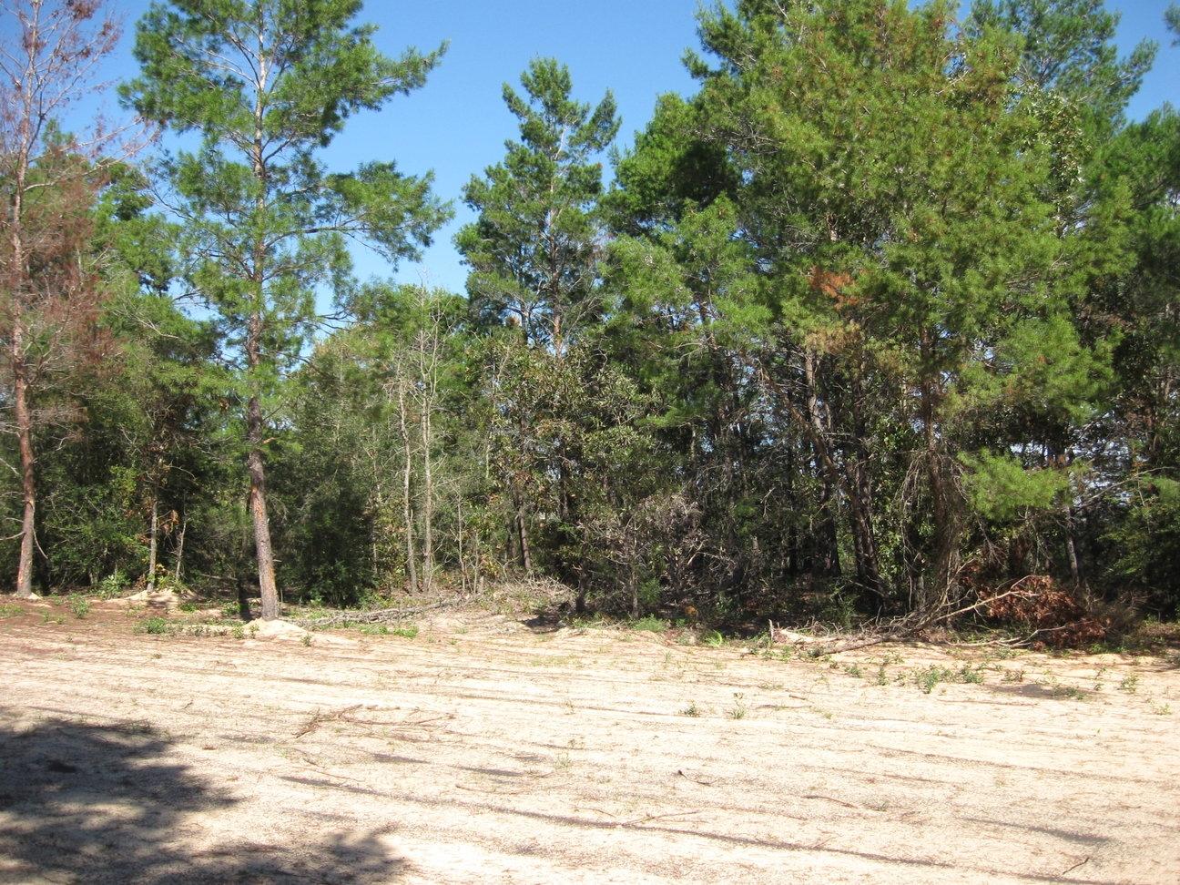 WINDSWEPT ESTATES - Land