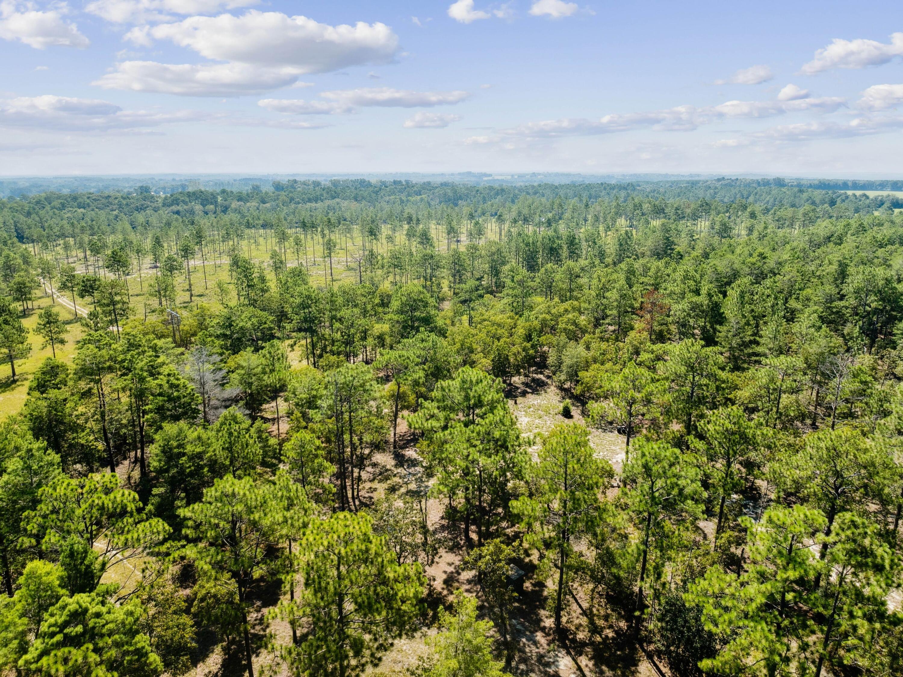 Turkey Creek Woodlands - Land