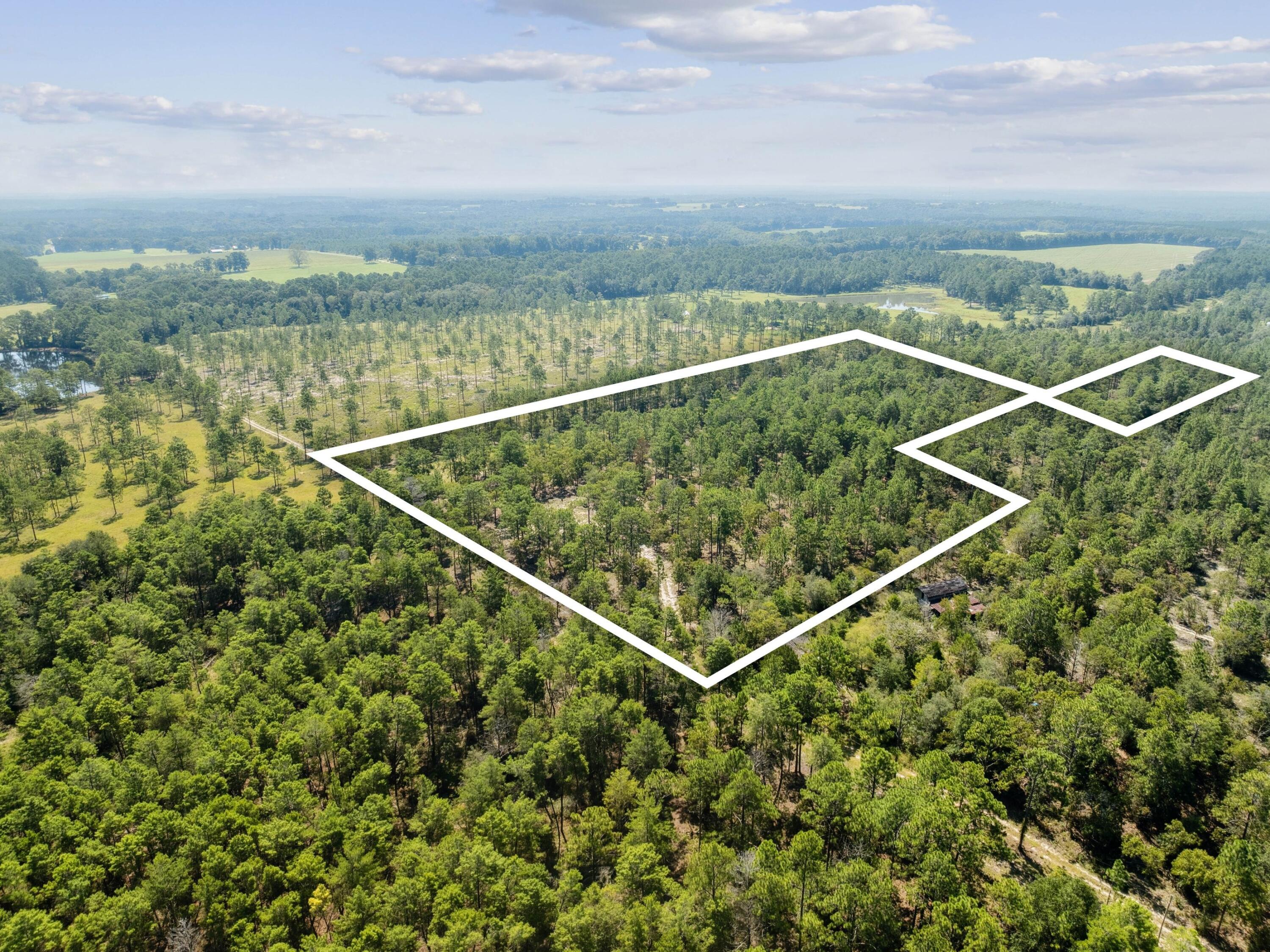 Turkey Creek Woodlands - Land